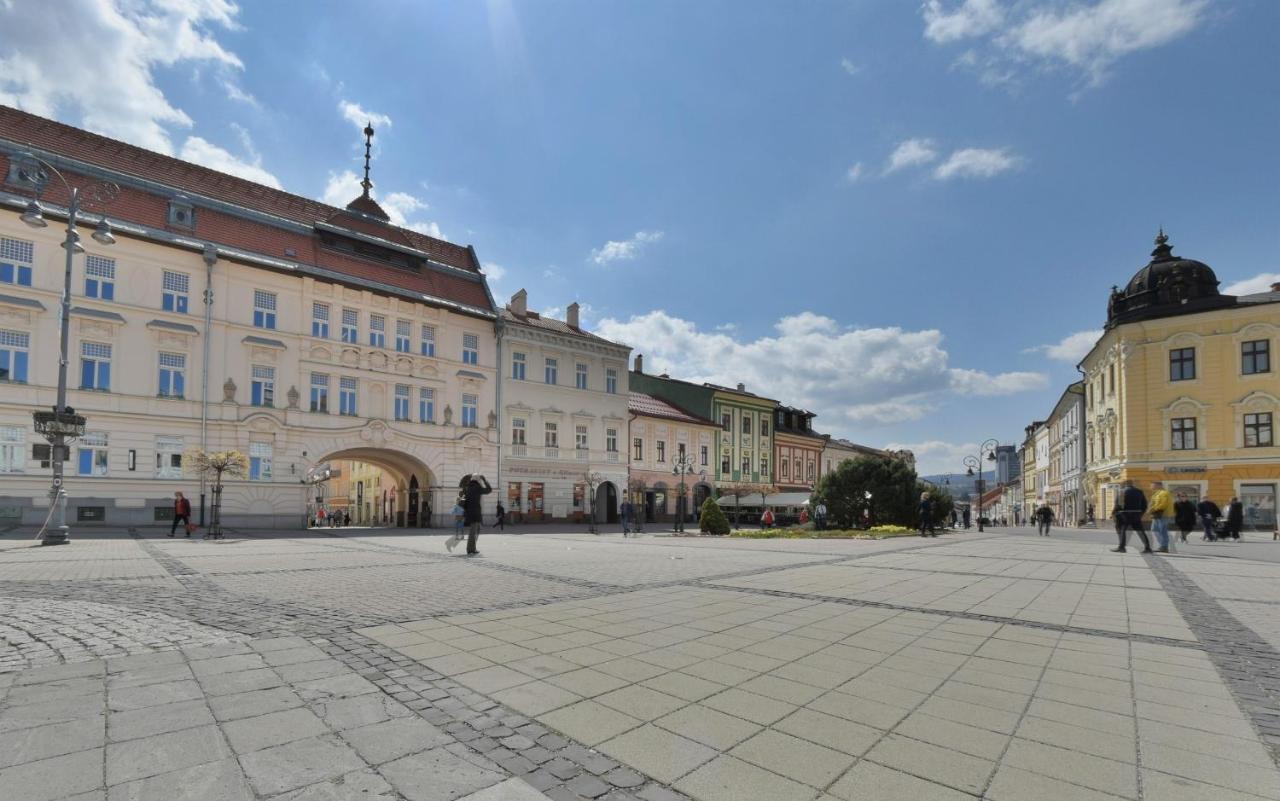 Big 75M2 Next To Opera Building In Direct Centrum, Air-Conditioned, Balcony, 24H Self Checking Banská Bystrica Exteriör bild